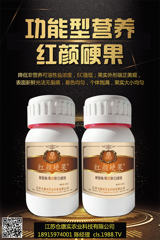 西蘭花什么時(shí)候種植？該怎么種？2019年西蘭花種植前景分析