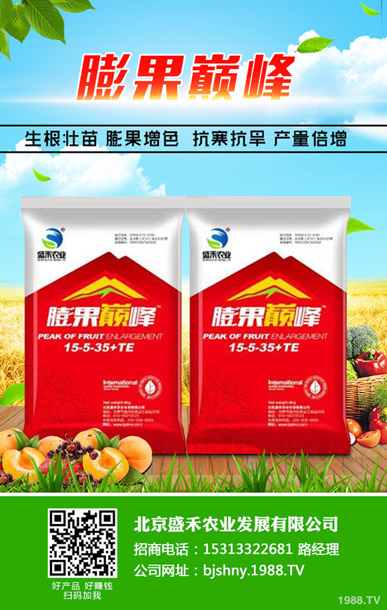 油菜什么季節(jié)種植，油菜從種植到豐收需要多久？