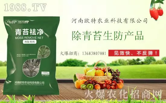 神奇除青苔劑！，不反彈！干凈，青苔無蹤！