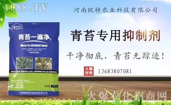 神奇除青苔劑！，不反彈！干凈，青苔無蹤！