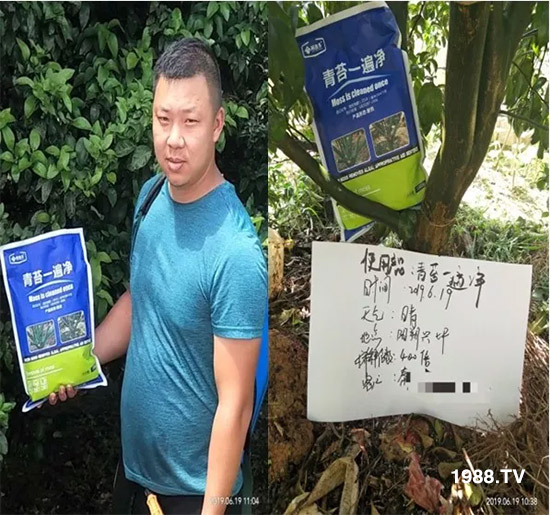 神奇除青苔劑！，不反彈！干凈，青苔無蹤！