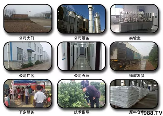 神奇除青苔劑！，不反彈！干凈，青苔無蹤！