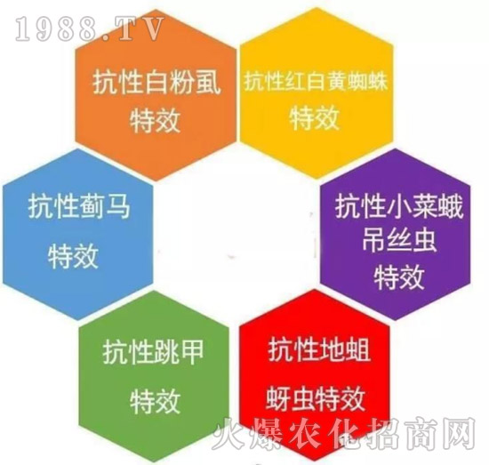     ���θ߿��԰׷�ʭ����?d��)��x����һ���Ɣ�