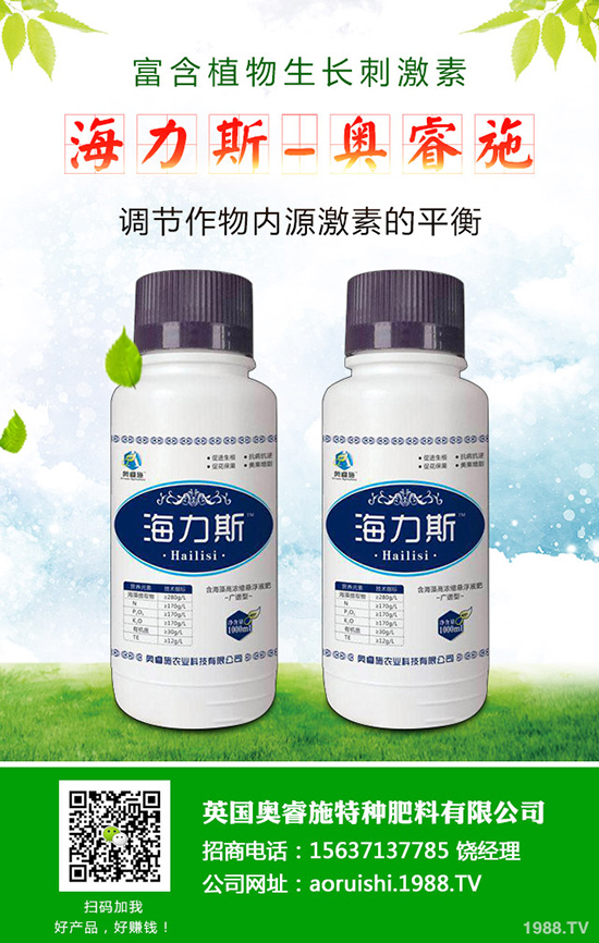 韭菜什么時候種植更好，韭菜種植時間和栽培技術