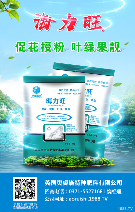 現(xiàn)在種植沙糖桔還賺錢嗎？沙糖桔種植技術(shù)大全