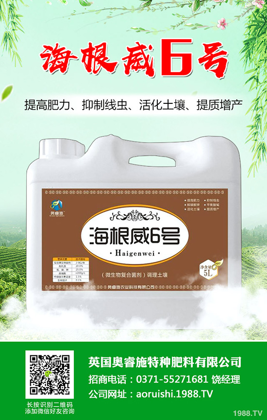 ���Ѵ������Ĩѿ������Ĩѿ������ע�����