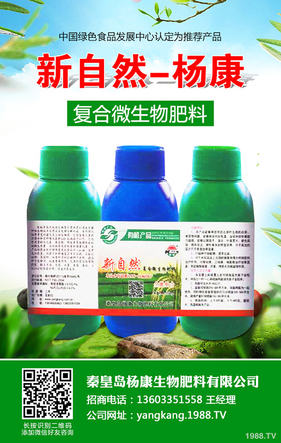 拐棗如何種植,拐棗種植技術(shù)及種植前景!