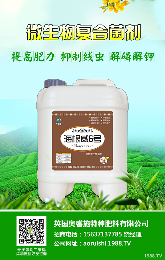 柚子種植技術(shù)！柚子栽種要注意些什么？