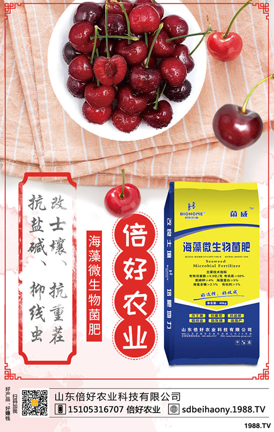     尿素行情走勢(shì)一般！2020年1月中旬尿素行價(jià)格后市預(yù)測(cè)！