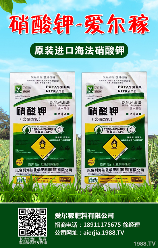 小蔥怎么種植產(chǎn)量高？小蔥的種植小技巧！