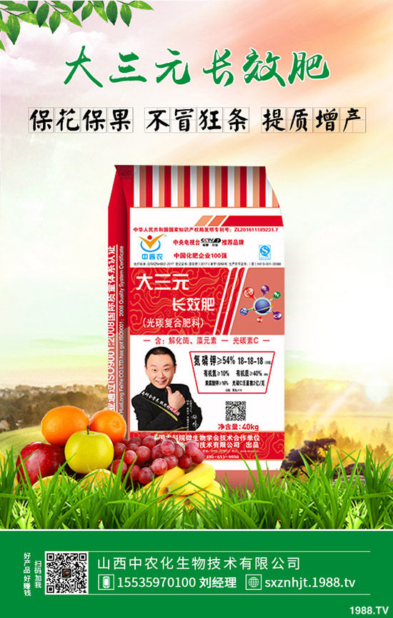     大棚早春茬西瓜如何育苗？大棚早春茬西瓜種植管理方法有哪些？