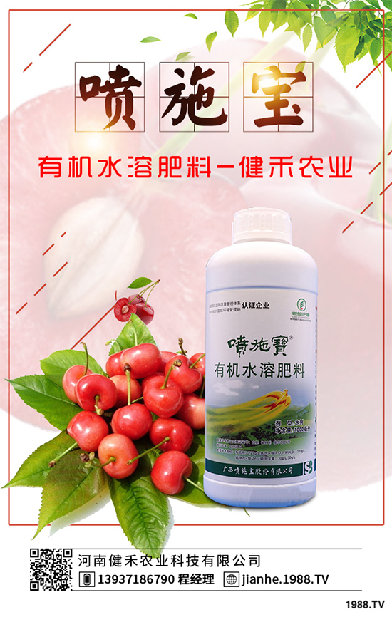 庭院種植竹子好在哪里？種植竹子的技巧與禁忌