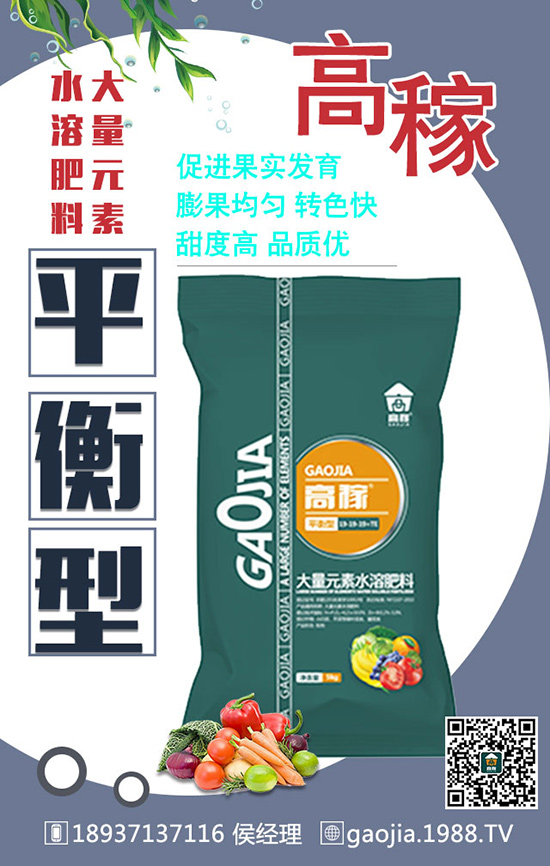 如何正確的給甜瓜施肥？怎么施肥？施什么肥？