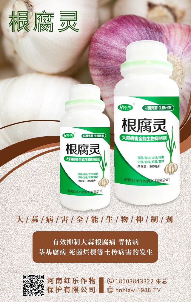 ���ϼt��(l��)���ﱣ�o(h��)���޹�˾