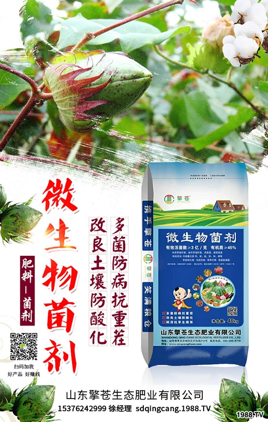     ����(ji��)���R��2020��1�������ܷ�ͦ�r(ji��)�����������߄�(sh��)�A(y��)�y(c��)��