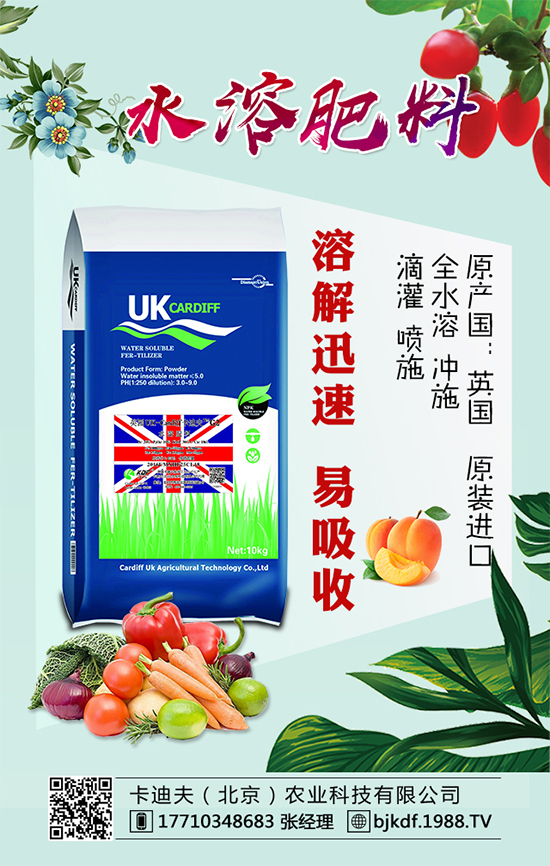 黃花菜要怎么種植？黃花菜對(duì)環(huán)境條件的要求！