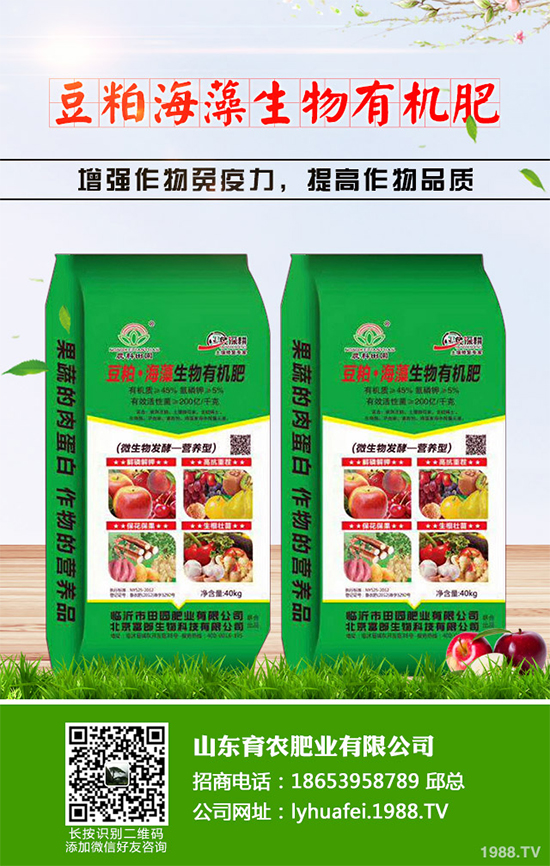 �۲����߲�����ЩΣ���Y�����۲����߲��İY����δ�ʩ