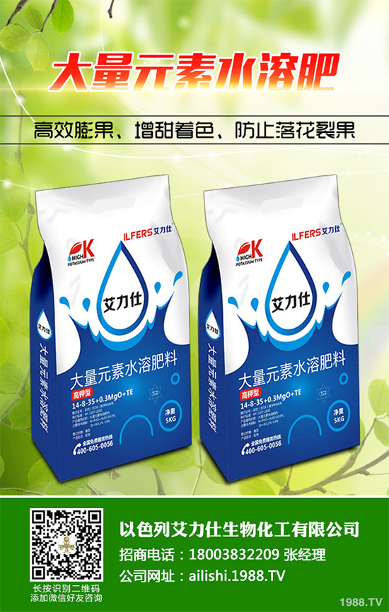 �۲˸���������ΰl(f��)���ģ�ԓ���ӷ����������������