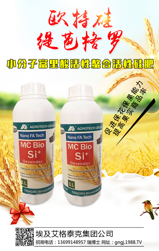 ���������Y(ji��)��������ô�������������������������