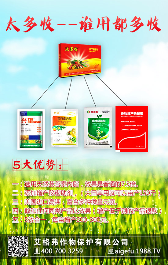 龍眼的種植要求有哪些？龍眼的種植要點！