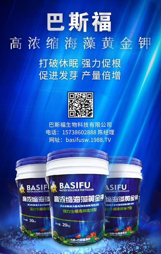 �ͺϷʽ��궬��߀�Б����2020-1-18�ͺϷʃr�������Ո�