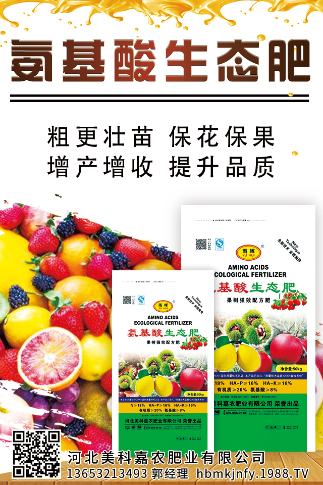 �ӱ����Ƽ��r�ʘI(y��)���޹�˾