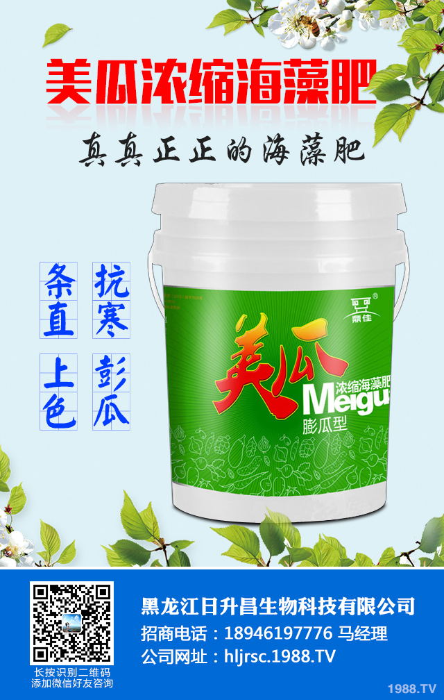 2020年種植什么蔬菜能掙錢？2020年蔬菜種植前景分析