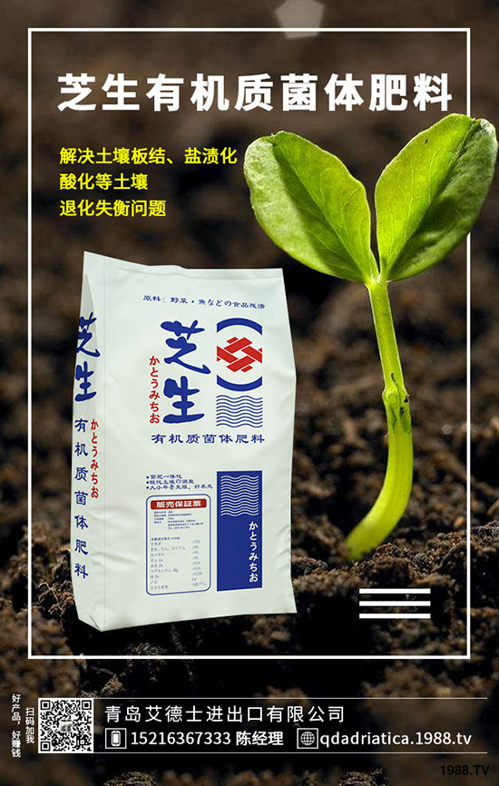 櫻桃有哪些營養(yǎng)價(jià)值，櫻桃的功效與作用是什么，如何選購？