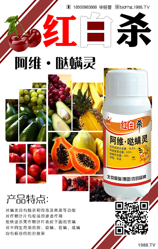 ���~����η��� ���~�����