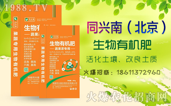     2020⛷ʃr���߄���������������߄��A(y��)�y��