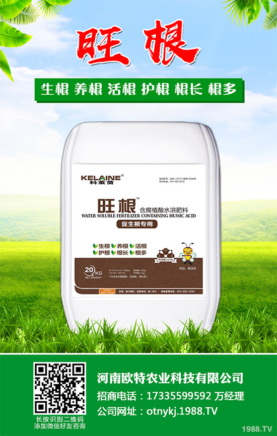 �t������Щ���湦Ч���t�ٵĹ�Ч���ü�������Ⱥ