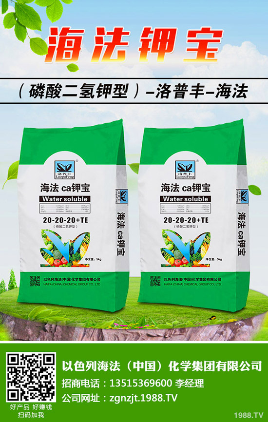 �������ö�������޼�����䶬���޼��ĕr�g��������