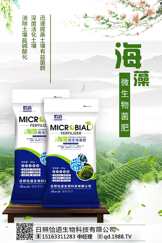     松茸有哪些營(yíng)養(yǎng)價(jià)值？吃松茸有什么好處？