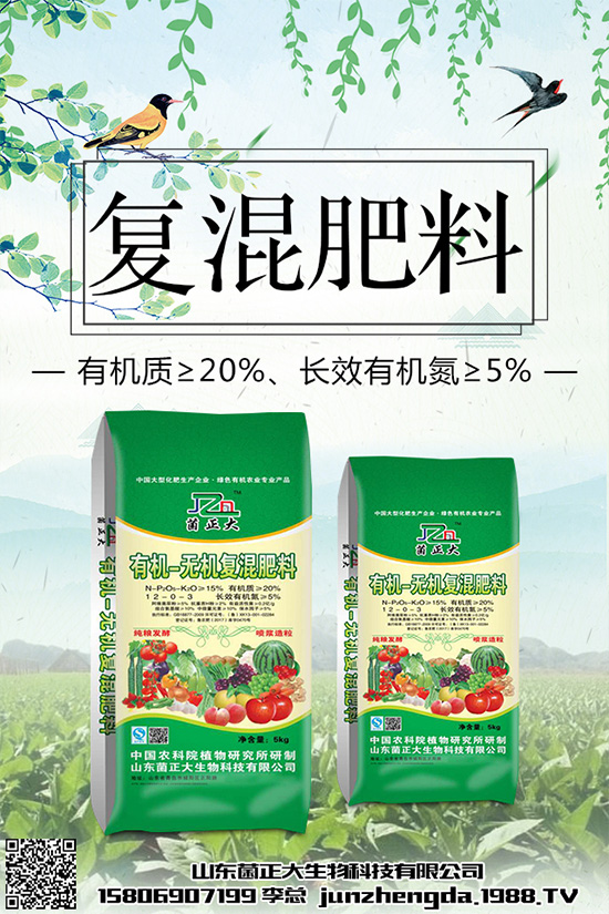 種植香菇前景如何？2020年香菇種植前景分析