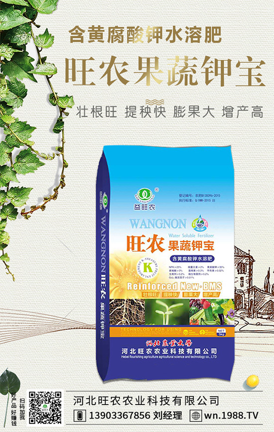 郁金香生長習性有哪些？郁金香養(yǎng)護要點！