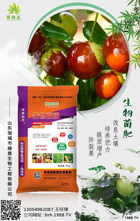 西蘭花什么時(shí)候種植？西蘭花種植注意事項(xiàng)！