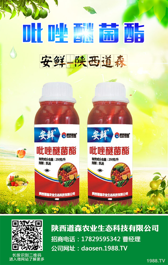 ˪ù��˪ù��