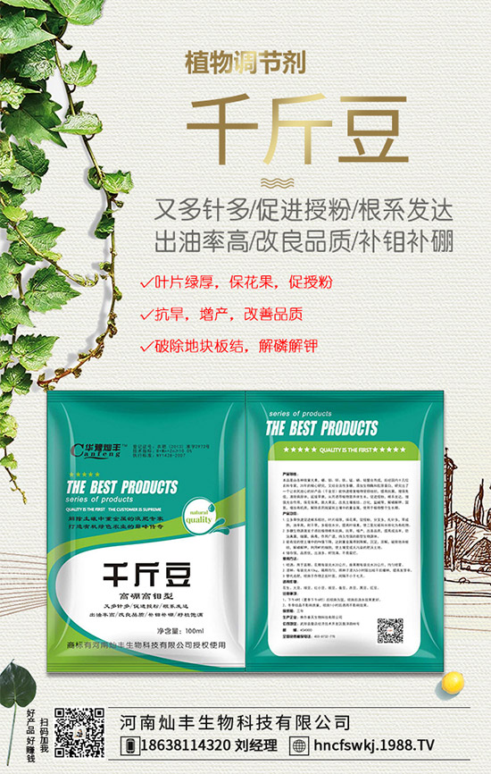     ������@����r������2020-1-7���ն��@�r�������A�y��