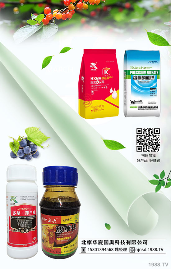 ������������A(y��)������