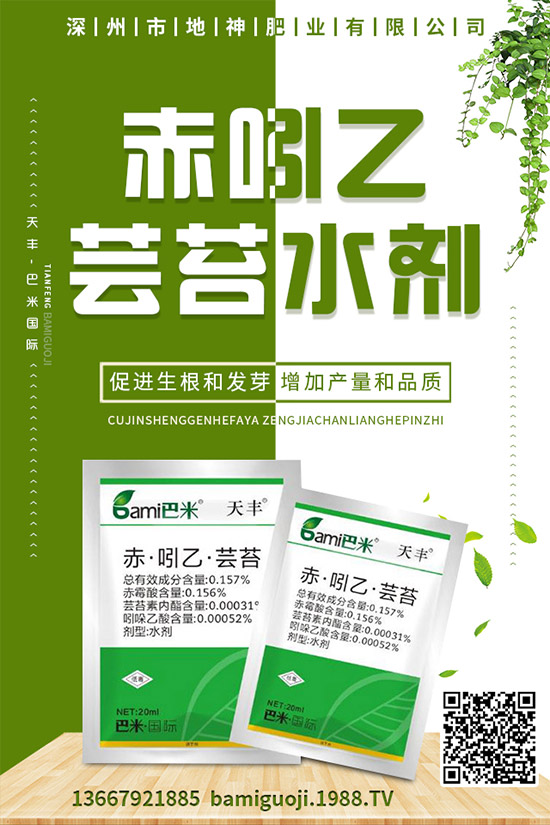 紅薯的營養(yǎng)價值有哪些，紅薯的功效作用與使用禁忌！