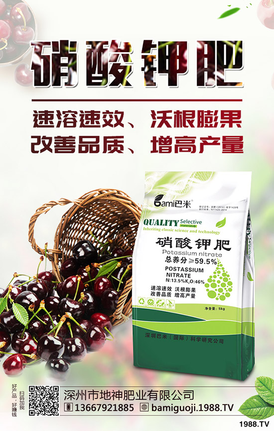 �t������r(sh��)�g��ʲô�r(sh��)�����t�����緽������Щ��