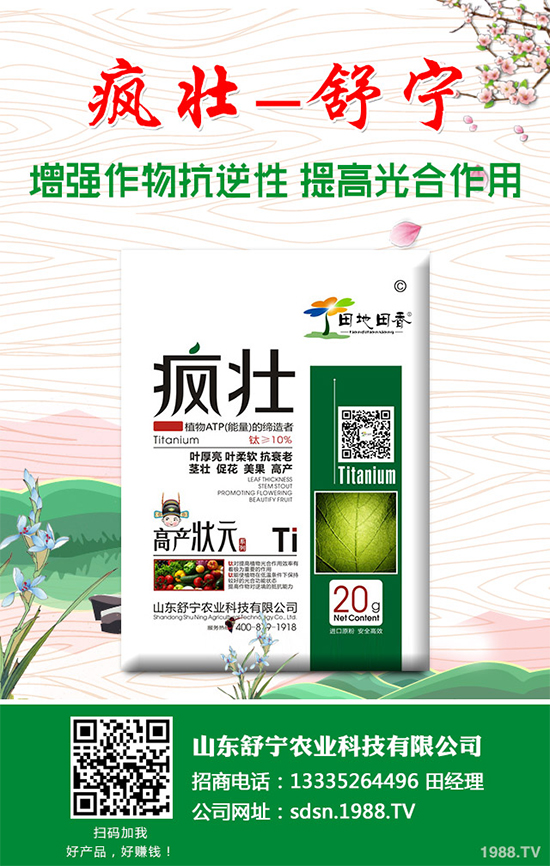 種植香菇需要投入多少？香菇種植成本利潤分析