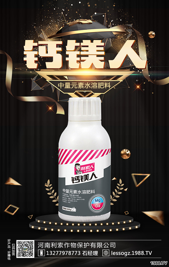 白菜價格多少錢一斤？白菜畝產(chǎn)多少斤？種植前景怎么樣？