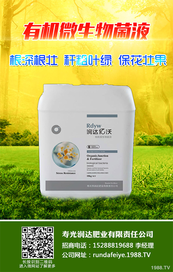 露地辣椒該如何施肥？露地辣椒高產(chǎn)施肥技術(shù)