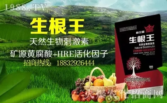 С���q�r(ji��)����(g��)�e��(b��o)�r(ji��)���^(gu��)2500Ԫ/����