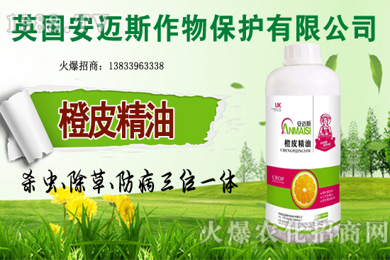 10�·Nֲ��Щ�߲˸����m�����g����Ҫ���cץ���Ď��c��