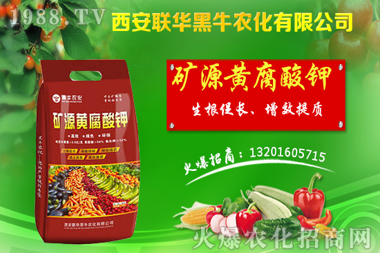 �＾����ԓ��ι������＾������푪������Ĵ��`�^(q��)��