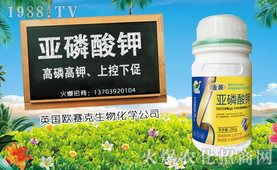 ľ��ʲô�r��Nֲ��ľ�ϷNֲ�r�g���Nֲ���g(sh��)Ҫ�c��