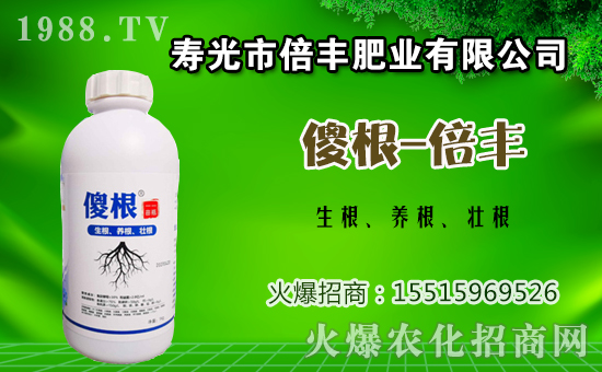 ���ӷNֲԓ���ʩ�ʣ����ӵĻ����c׷�ʷ�����