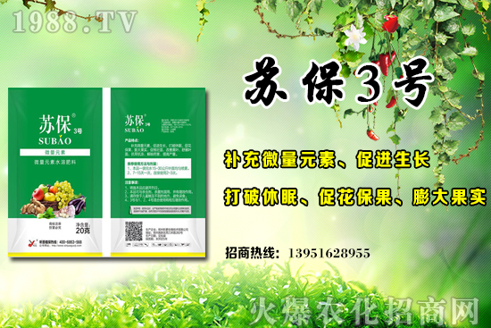 大棚黃瓜應(yīng)該在什么時候施肥？大棚黃瓜底肥施用的3個誤區(qū)！
